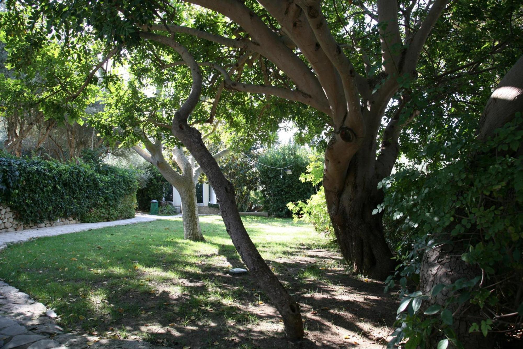 Villa Aurea Bed&Breakfast Ispica Exterior foto