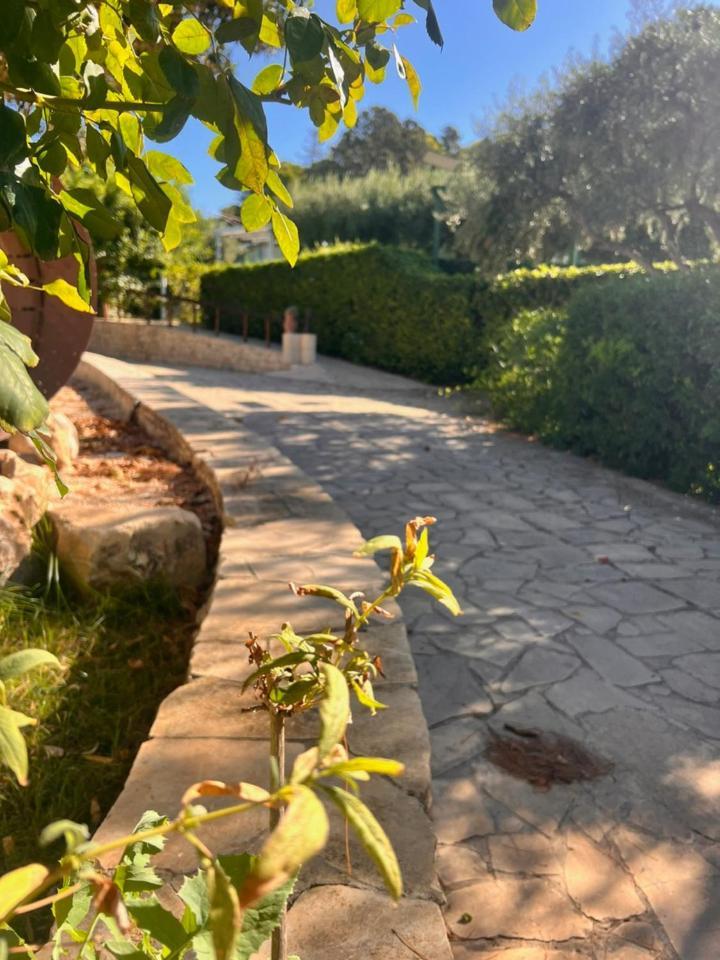 Villa Aurea Bed&Breakfast Ispica Exterior foto