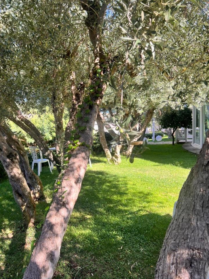 Villa Aurea Bed&Breakfast Ispica Exterior foto