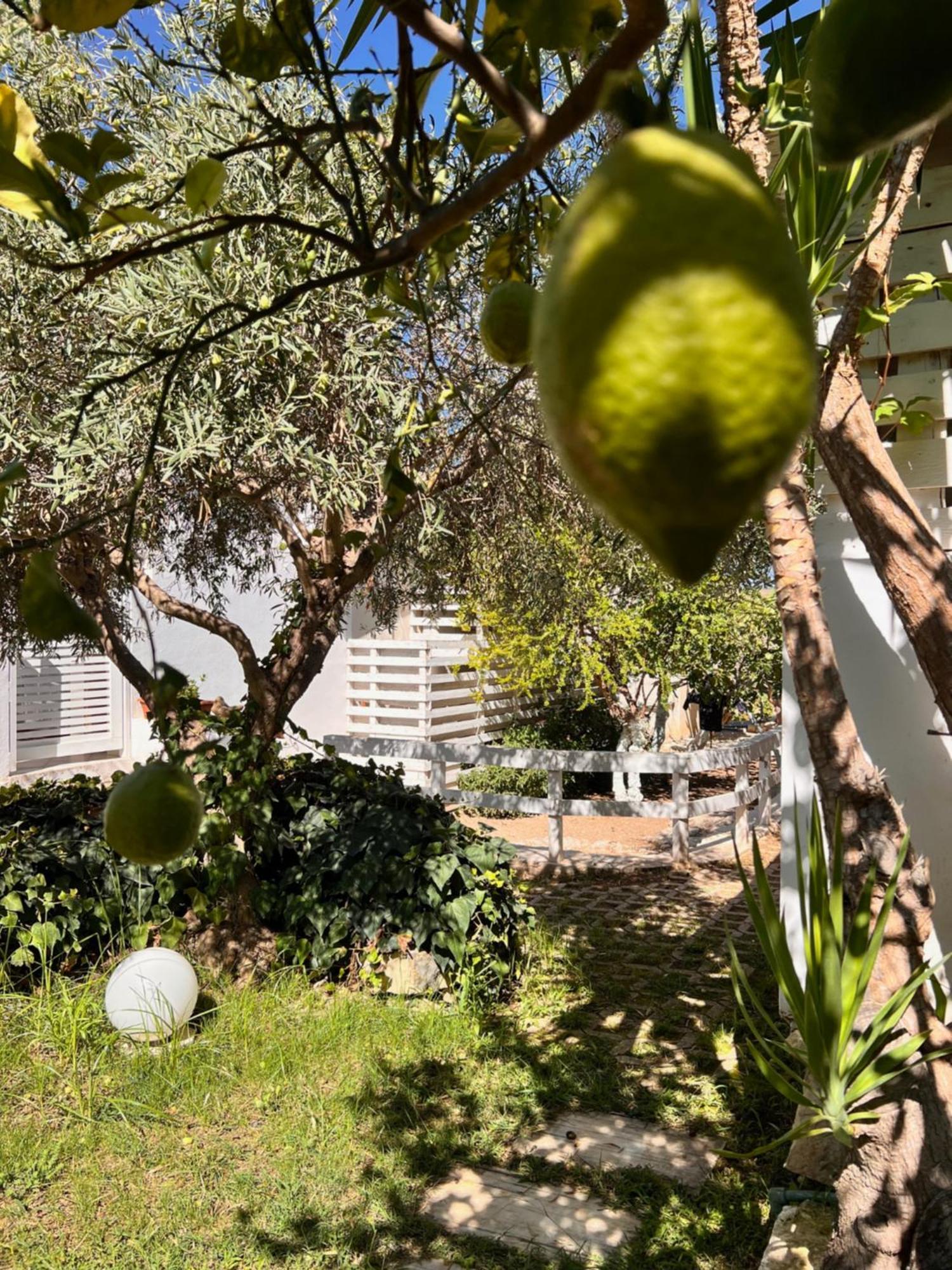 Villa Aurea Bed&Breakfast Ispica Exterior foto