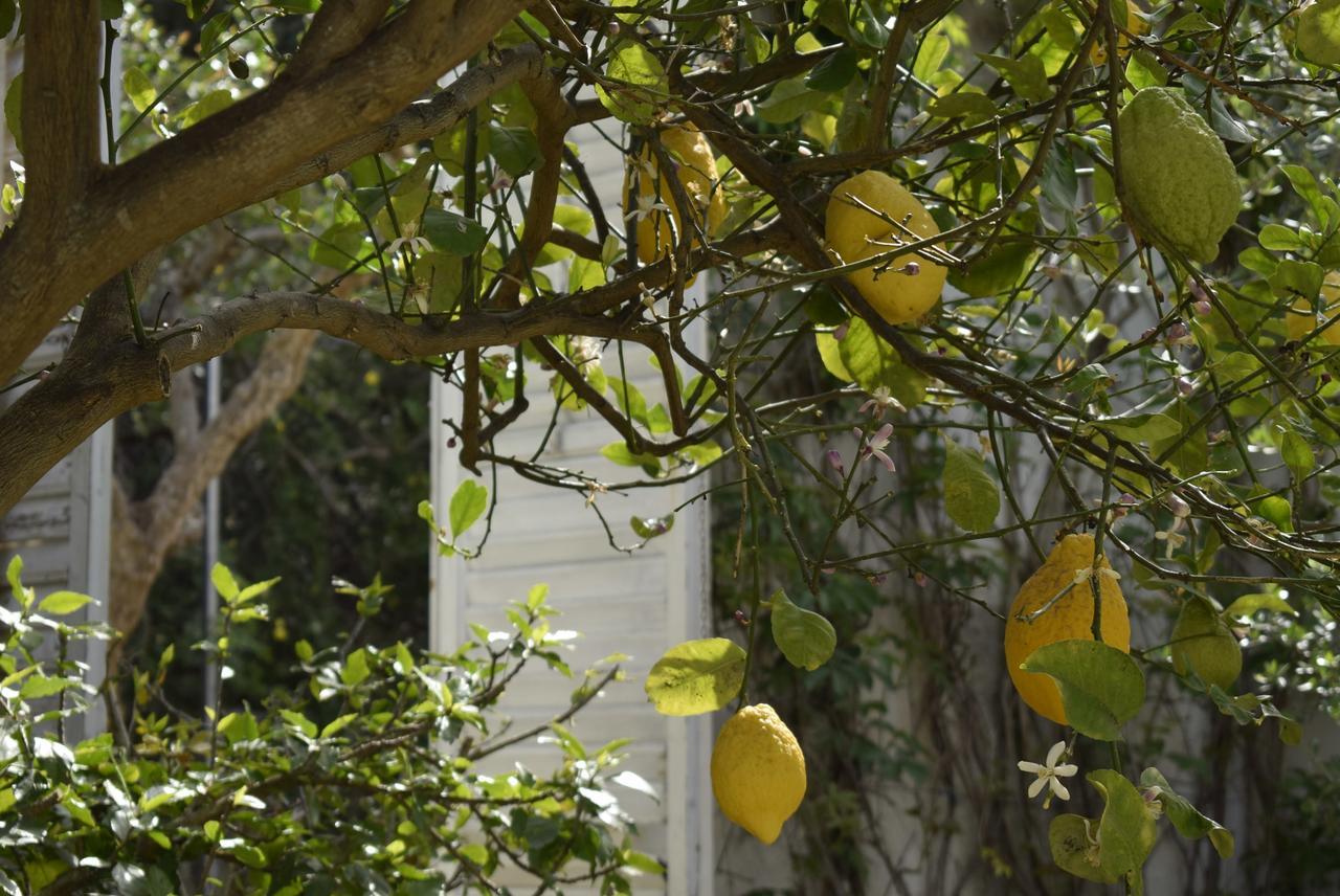 Villa Aurea Bed&Breakfast Ispica Exterior foto